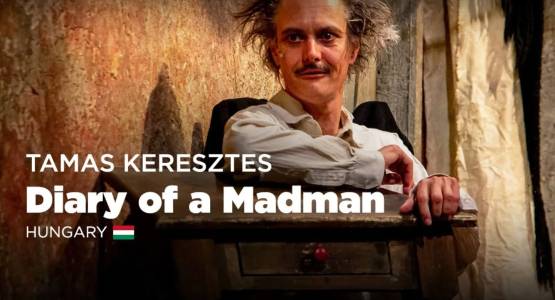 10 éves az Egy őrült naplója